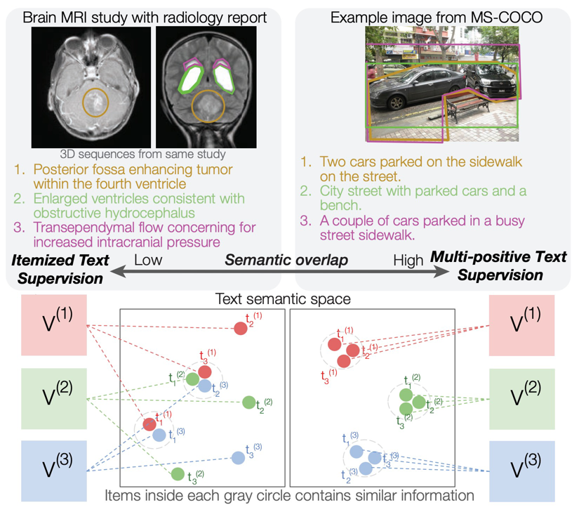 Figure from Learning complete and explainable visual representations from itemized text supervision