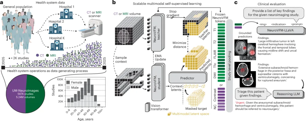 Figure from Health system learning enables generalist neuroimaging models