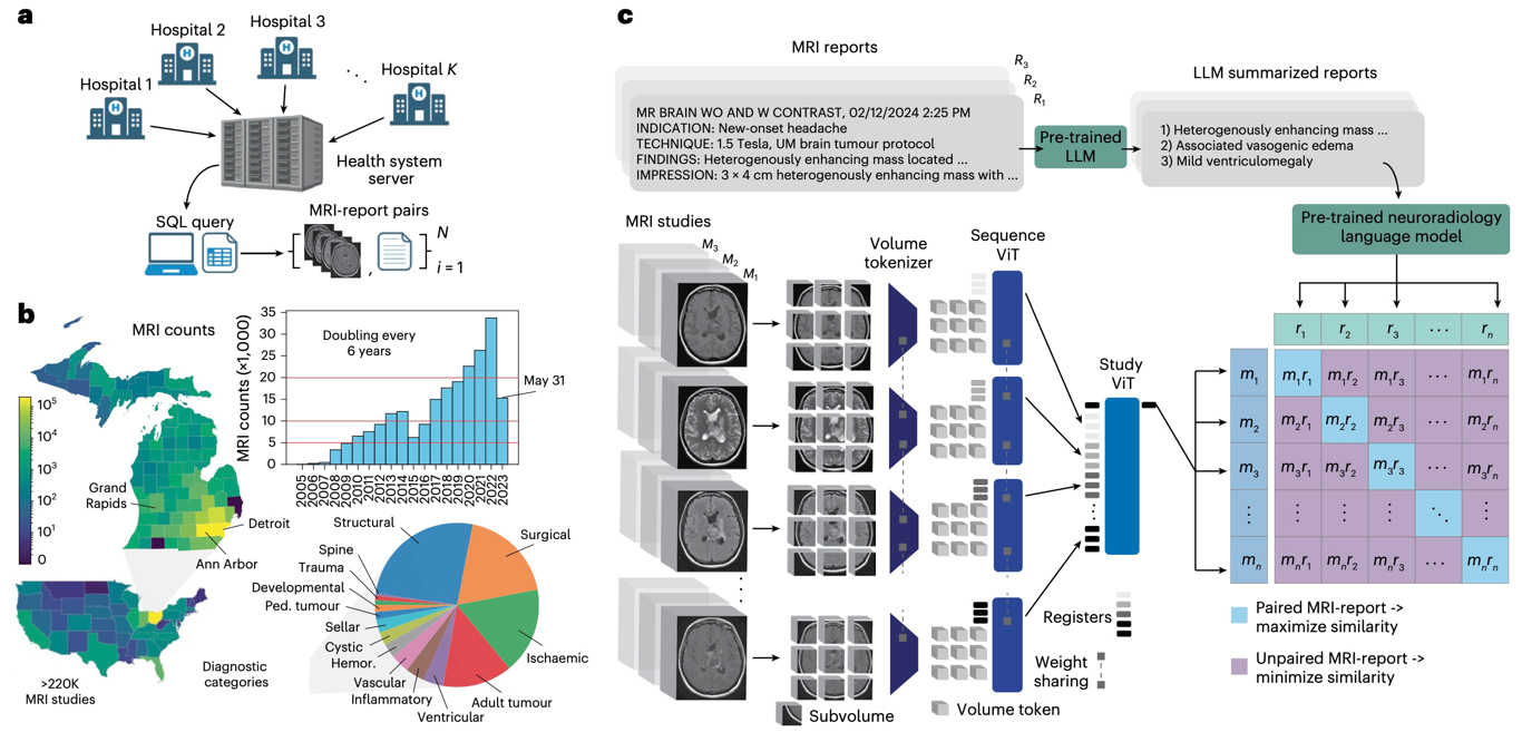 Figure from Learning neuroimaging models from health system-scale data